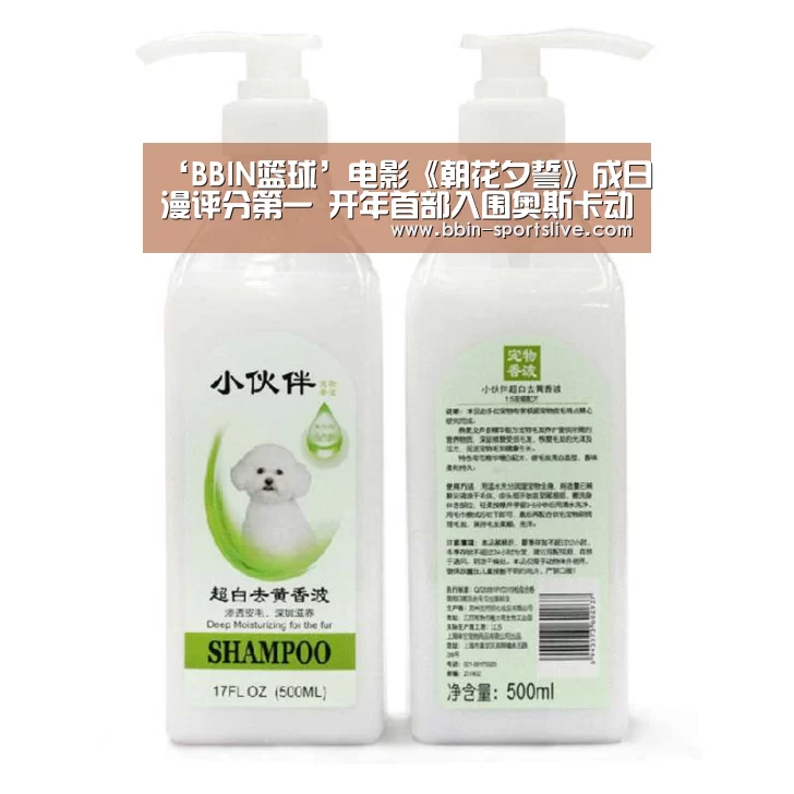 ‘BBIN篮球’电影《朝花夕誓》成日漫评分第一 开年首部入围奥斯卡动画(图2) BBIN篮球
