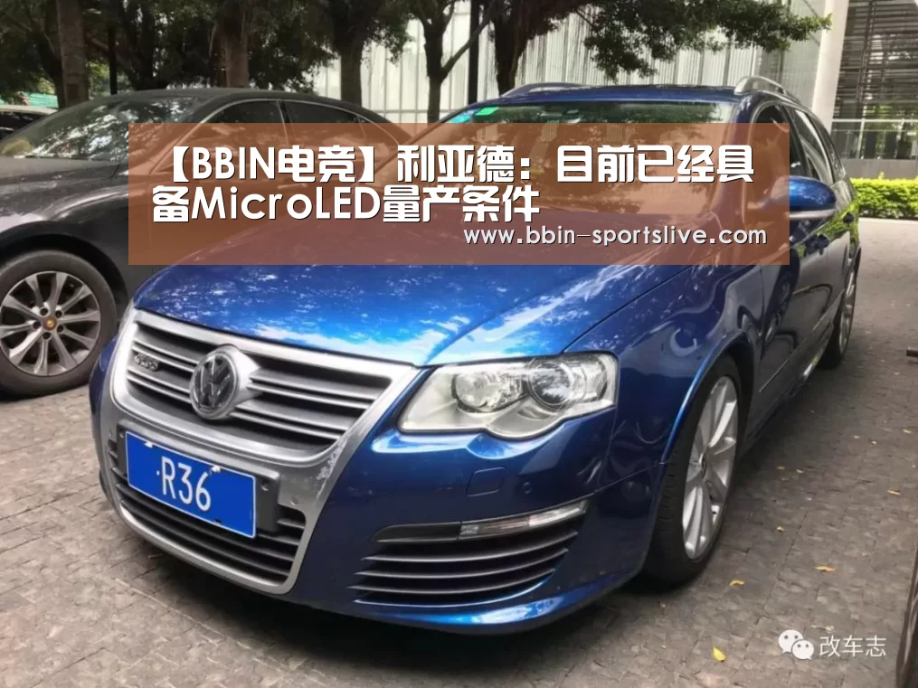 BBIN篮球