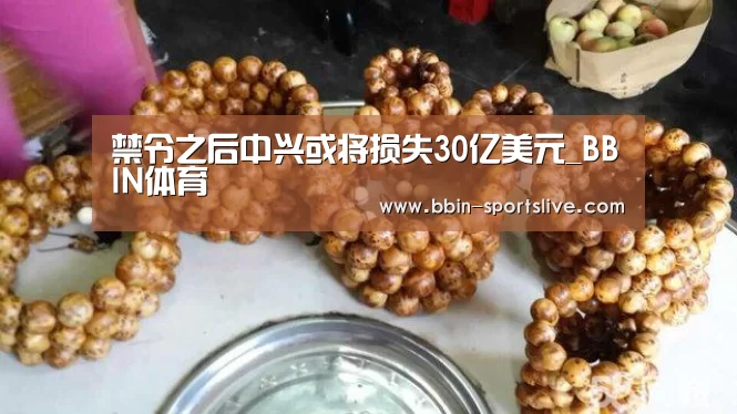 禁令之后中兴或将损失30亿美元_BBIN体育(图1) BBIN篮球