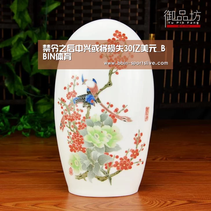 禁令之后中兴或将损失30亿美元_BBIN体育(图2) BBIN电竞