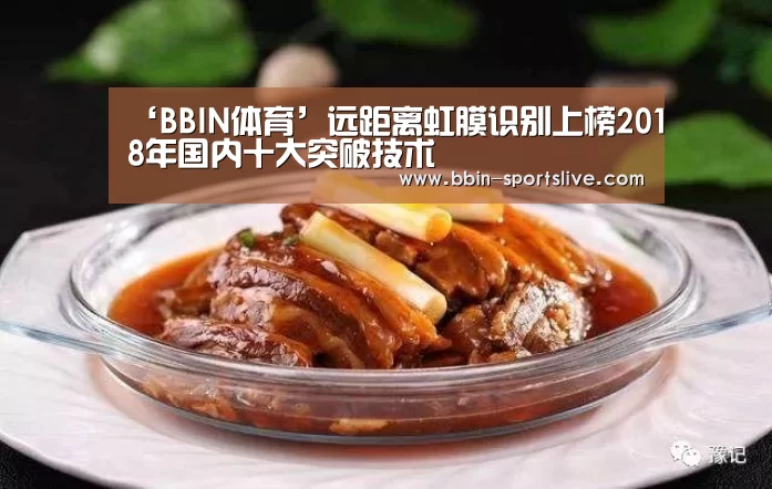 ‘BBIN体育’远距离虹膜识别上榜2018年国内十大突破技术(图4) BBIN篮球