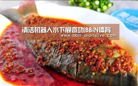 清洁机器人水下展奇功|BBIN体育(图1) BBIN电竞